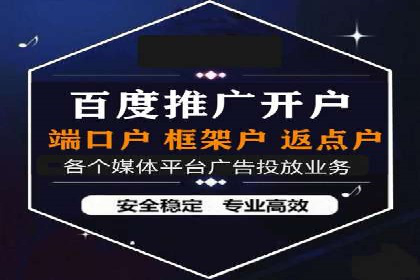 竞价广告的深度解析：以一知名品牌为例